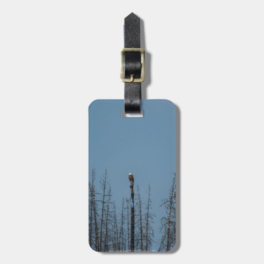 American Bald Eagle 8974 Gepäckanhänger (Vorderseite vertikal)