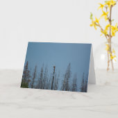 American Bald Eagle 8974 Karte (Gelbe Blume)