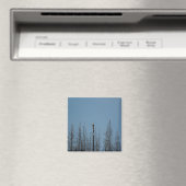American Bald Eagle 8974 Magnet (In Situ (Geschirrspüler))