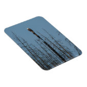 American Bald Eagle 8974 Magnet (Rechte Seite)