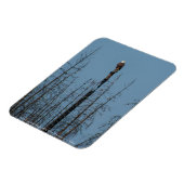 American Bald Eagle 8974 Magnet (Linke Seite)