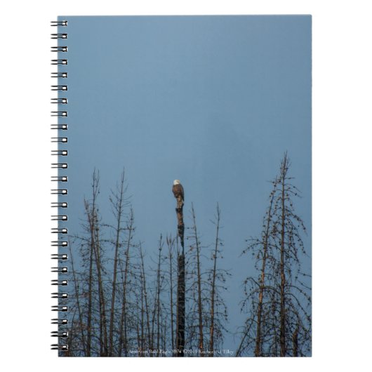 American Bald Eagle 8974 Notizblock (Vorderseite)