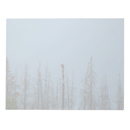 American Bald Eagle 8974 Notizblock (Vorderseite)