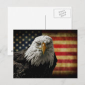 American Bald Eagle auf Grunge Flag Postkarte (Vorne/Hinten)