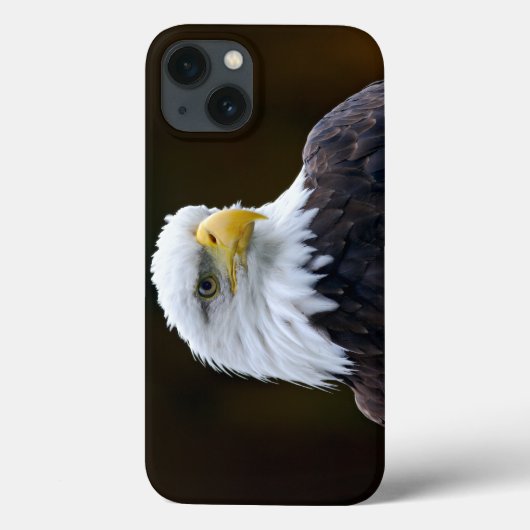 American Bald Eagle Case-Mate iPhone Hülle (Rückseite)