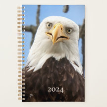 American Bald Eagle Face Funny Fine Art