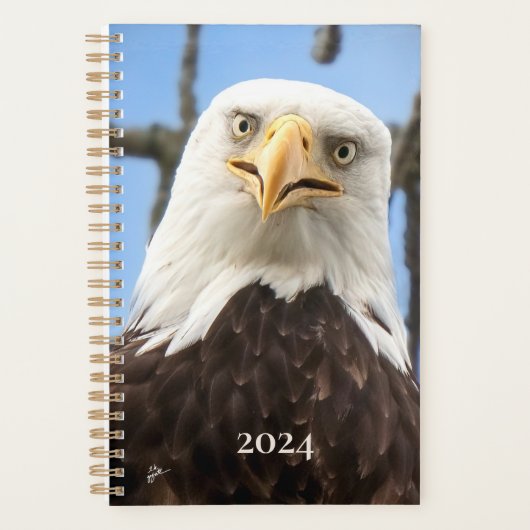 American Bald Eagle Face Funny Fine Art Planer (Vorderseite)