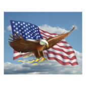 American Bald Eagle Foto Print (Vorne)