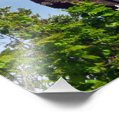 American Bald Eagle Foto Print (Ecke)