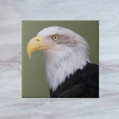 American Bald Eagle Head Fliese