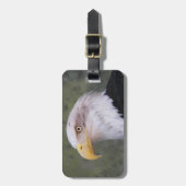 American Bald Eagle Head Gepäckanhänger (Vorderseite vertikal)