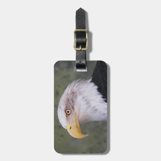 American Bald Eagle Head Gepäckanhänger (Vorderseite vertikal)