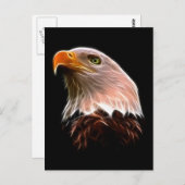 American Bald Eagle Head Postkarte (Vorne/Hinten)