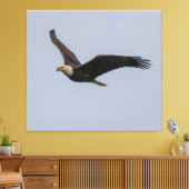 American Bald Eagle In Flight Leinwanddruck (Insitu (Wohnzimmer))