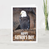 American Bald Eagle in Nest Karte (Vorderseite)