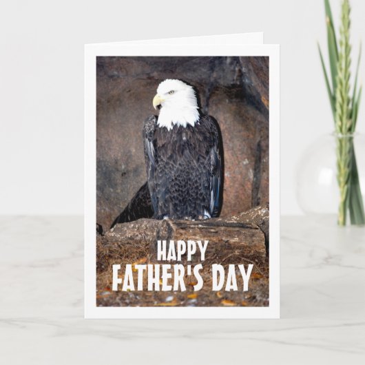 American Bald Eagle in Nest Karte (Vorderseite)