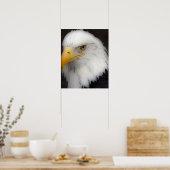 'American Bald Eagle in Portrait' Poster (Küche)
