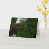 American Bald Eagle Karte (Gelbe Blume)