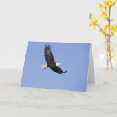 American Bald Eagle Karte (Gelbe Blume)