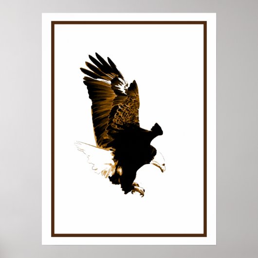 American Bald Eagle Landing Poster (Vorne)