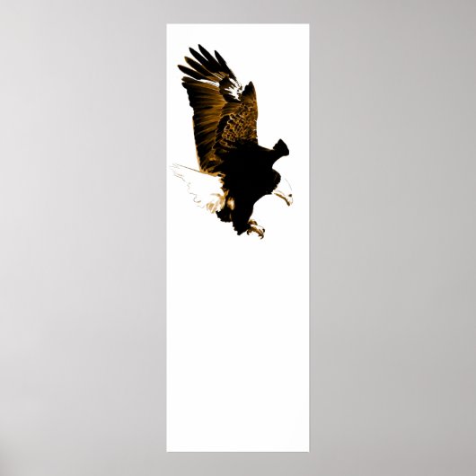 American Bald Eagle Landing Poster (Vorne)