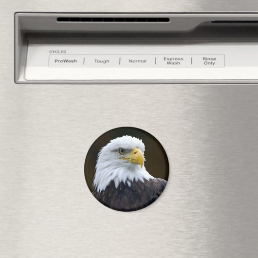 American Bald Eagle Magnet (In Situ (Geschirrspüler))