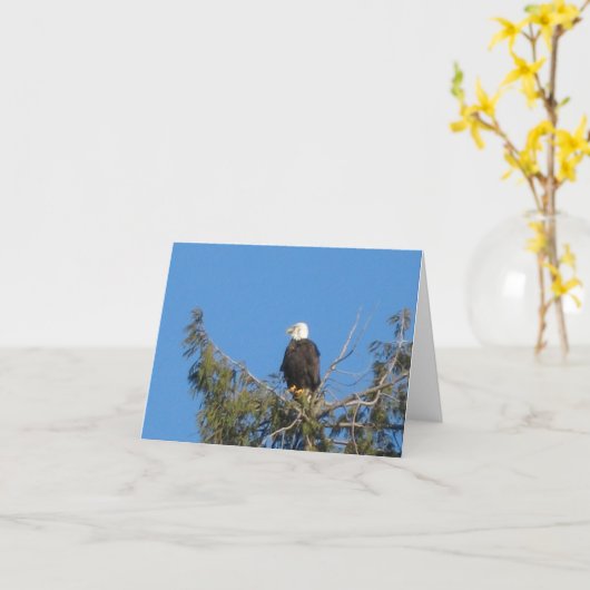American Bald Eagle Note Card Karte (Gelbe Blume)