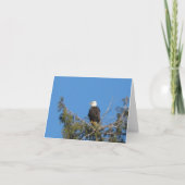 American Bald Eagle Note Card Karte (Vorderseite)