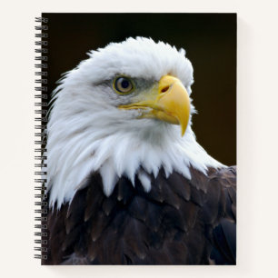American Bald Eagle Notizblock