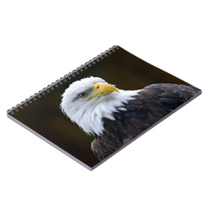 American Bald Eagle Notizblock