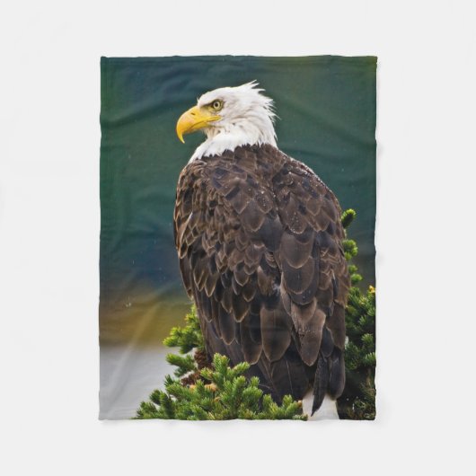 American Bald Eagle Perched Fleecedecke (Vorderseite)