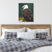 American Bald Eagle Perched Leinwanddruck (Insitu (Schlafzimmer))