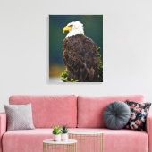 American Bald Eagle Perched Leinwanddruck (Insitu (Wohnzimmer))