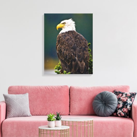 American Bald Eagle Perched Leinwanddruck (Insitu (Wohnzimmer))