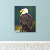 American Bald Eagle Perched Leinwanddruck (Insitu (Holzboden))