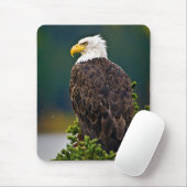 American Bald Eagle Perched Mousepad (Mit Mouse)