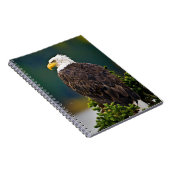American Bald Eagle Perched Notizblock (Rechte Seite)