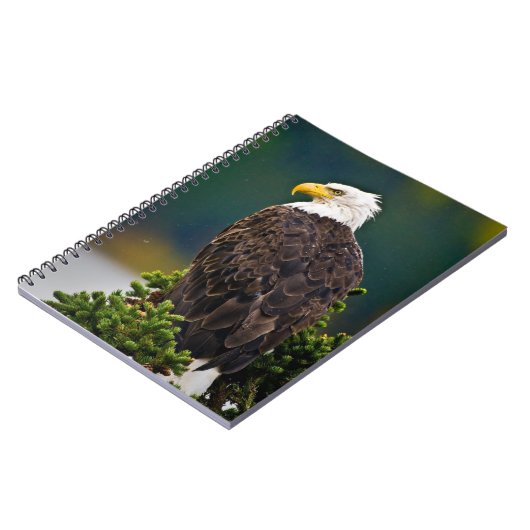 American Bald Eagle Perched Notizblock (Linke Seite)