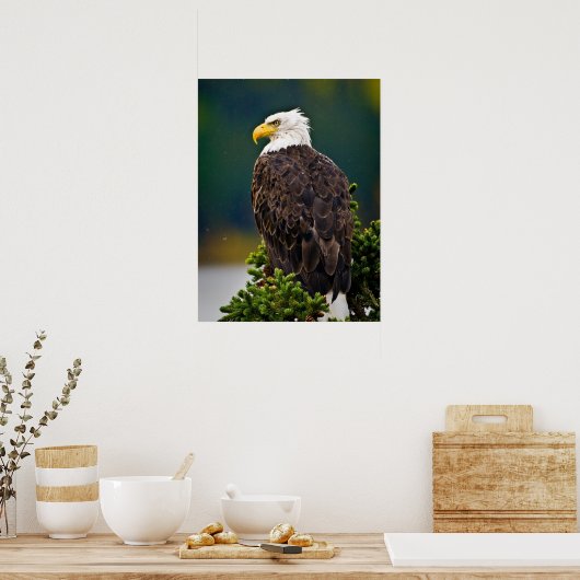 American Bald Eagle Perched Poster (Küche)