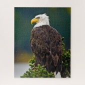 American Bald Eagle Perched Puzzle (Vertikal)