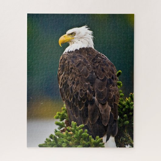 American Bald Eagle Perched Puzzle (Vertikal)