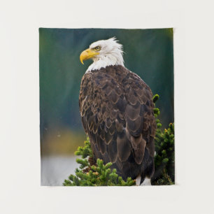 American Bald Eagle Perched Wandteppich