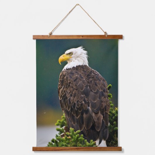 American Bald Eagle Perched Wandteppich Mit Holzrahmen (Vorderseite)