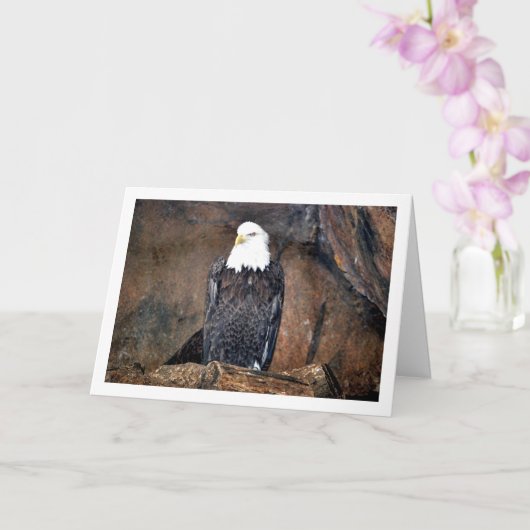 American Bald Eagle Portrait Karte (Orchidee)