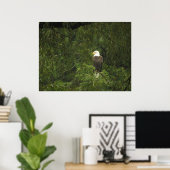 American Bald Eagle Poster (Heimbüro)