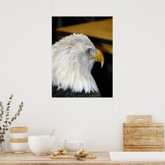 American Bald Eagle Poster (Küche)