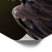 American Bald Eagle Poster (Ecke)