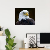 American Bald Eagle Poster (Heimbüro)