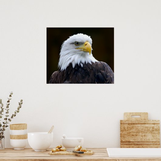 American Bald Eagle Poster (Küche)