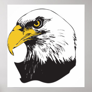 American Bald Eagle Poster